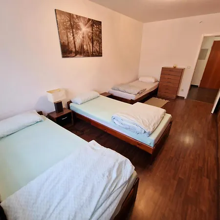 Daire 2-zimmer Messe-apartment Nbg-langwasser 60qm Nürnberg