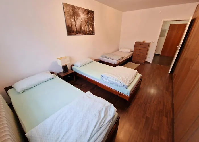 Appartement 2-zimmer Messe-apartment Nbg-langwasser 60qm Nuremberg